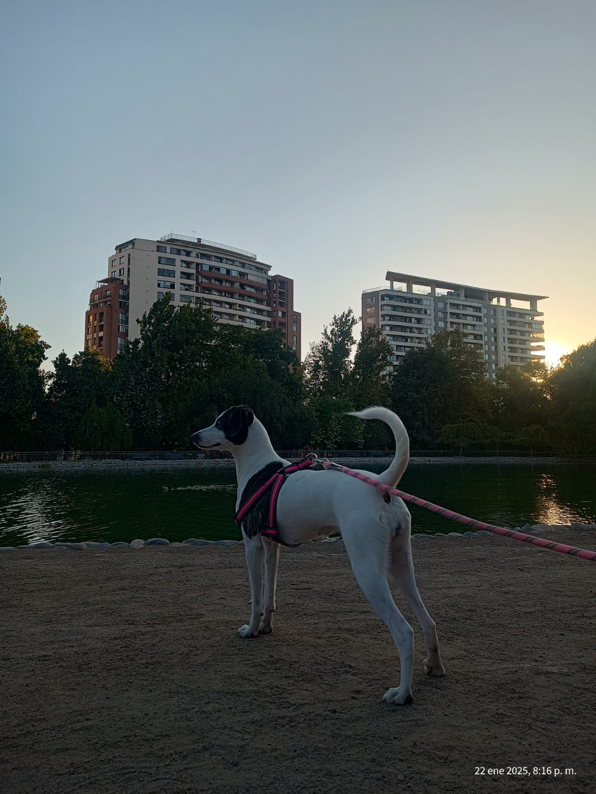 Foto de Mérida, un Mestiza